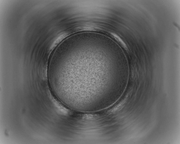 X0000098160938200804241800