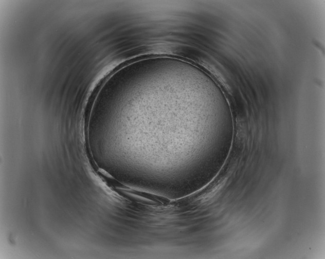 X0000098160939200804241800