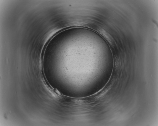X0000098160940200804241800