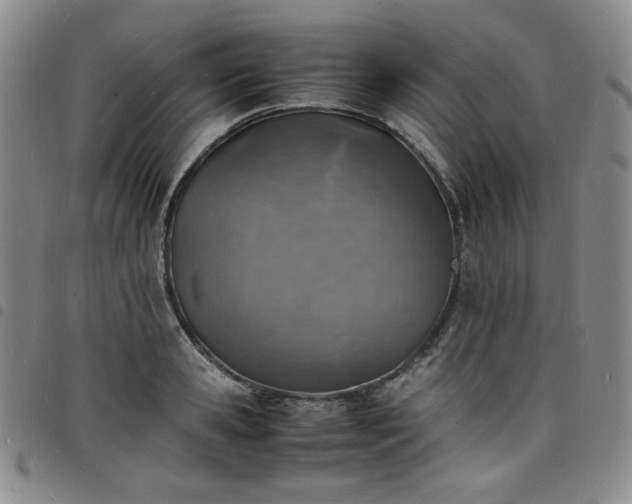 X0000098160941200804241800