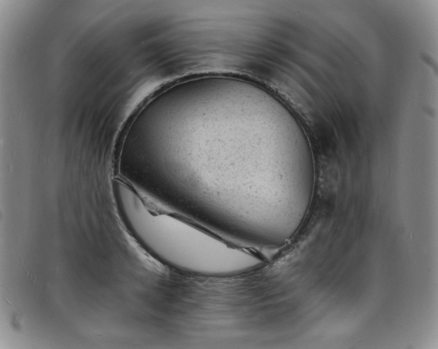 X0000098160942200804241800
