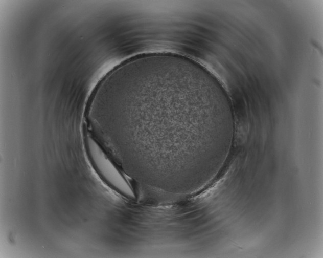 X0000098160943200804241800