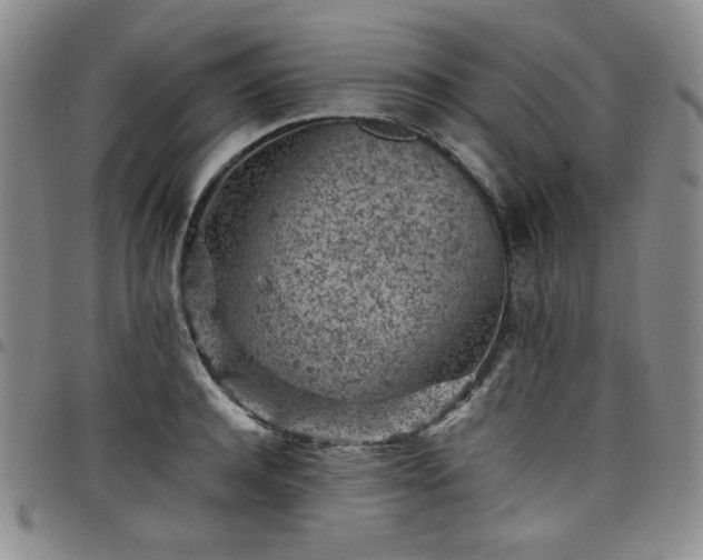 X0000098160944200804241800