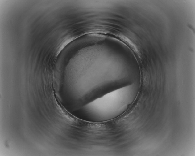 X0000098160945200804241800