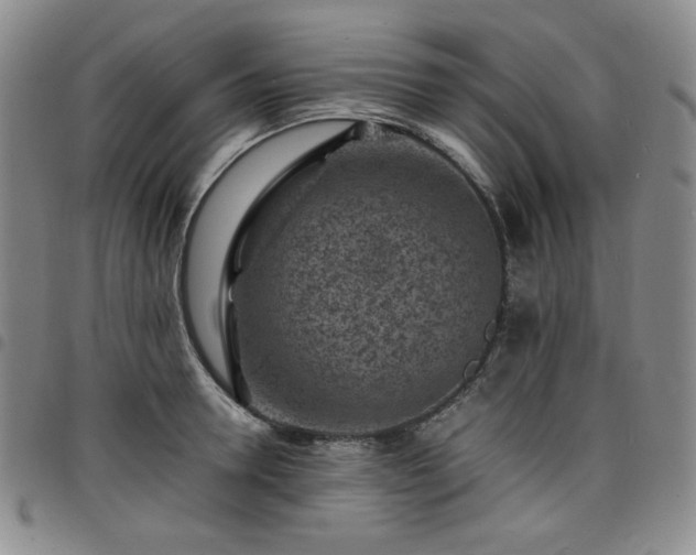X0000098160946200804241800