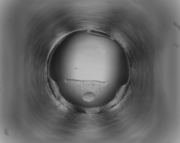 X0000098160948200804241800