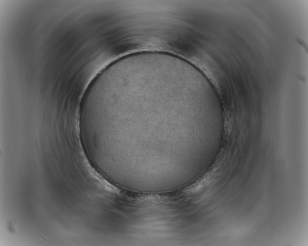 X0000098160950200804241800