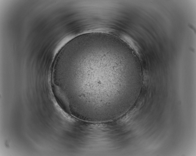 X0000098160952200804241801