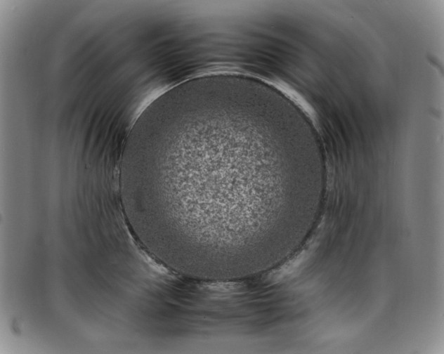 X0000098160953200804241801