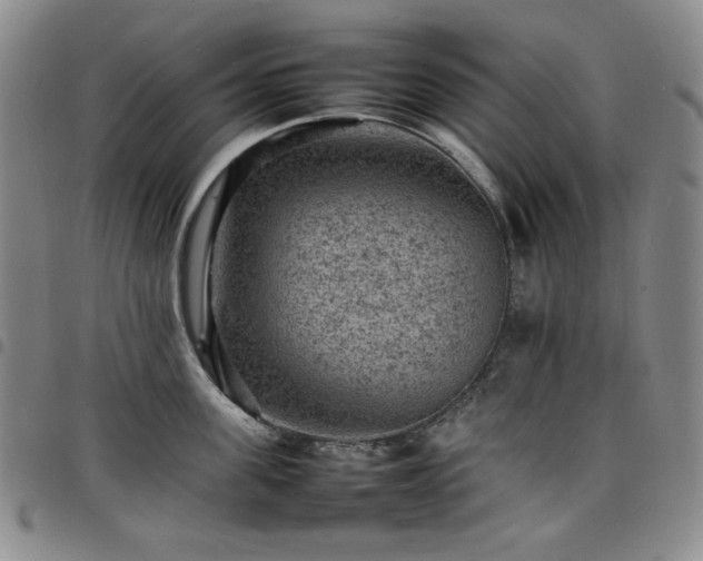 X0000098160955200804241801