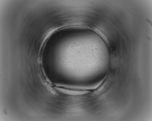 X0000098160956200804241801