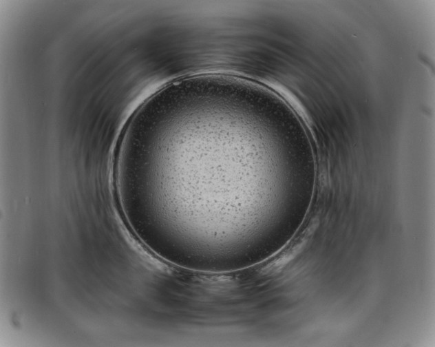 X0000098160957200804241801