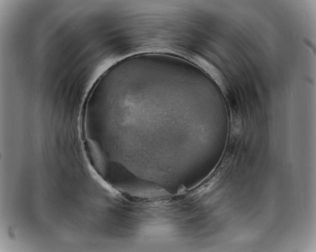 X0000098160958200804241801