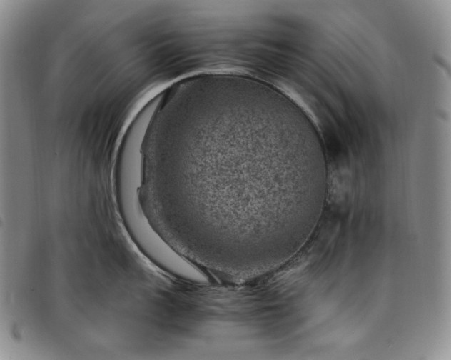 X0000098160959200804241801