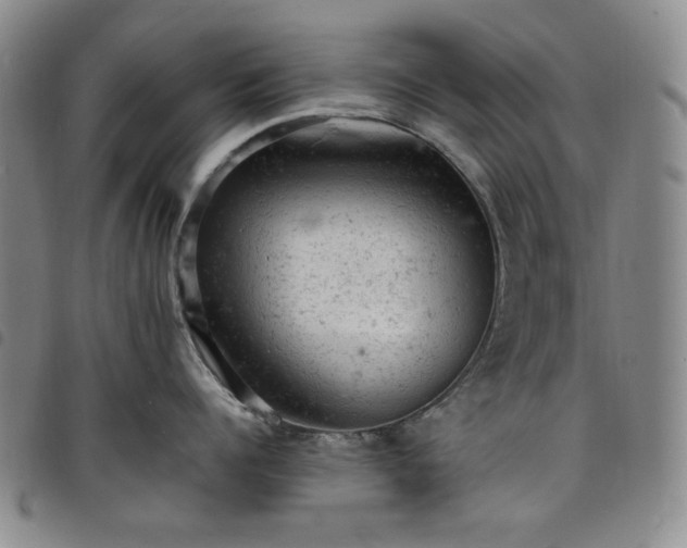 X0000098160960200804241801