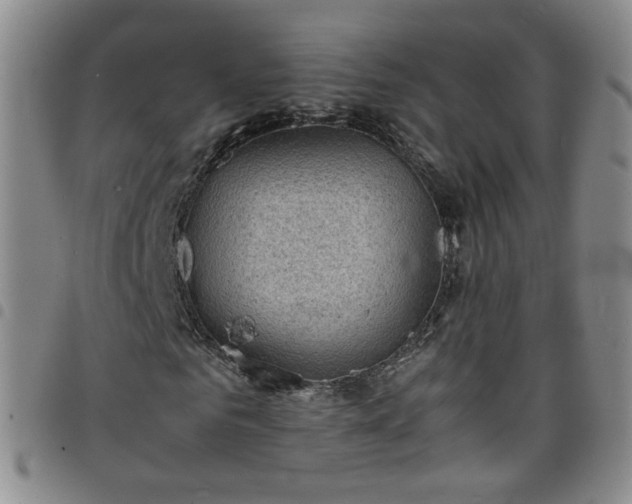 X0000098160961200804241800