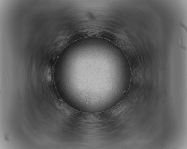 X0000098160962200804241800