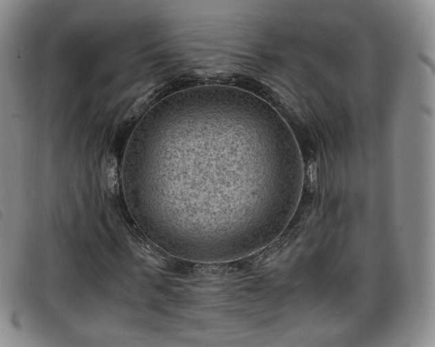 X0000098160963200804241800