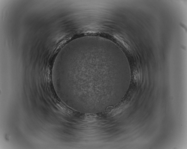 X0000098160964200804241800