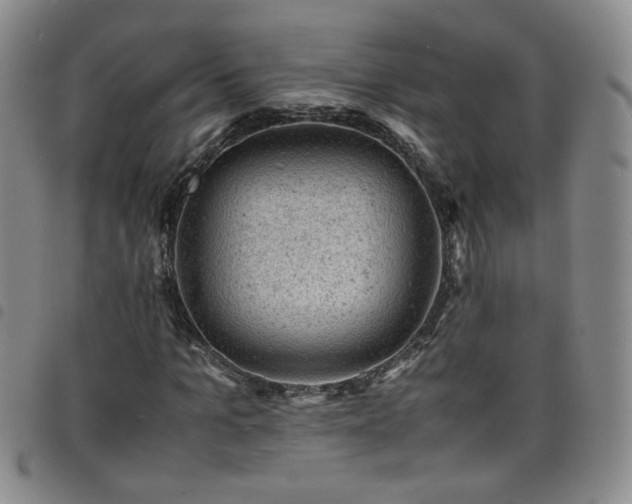 X0000098160965200804241800