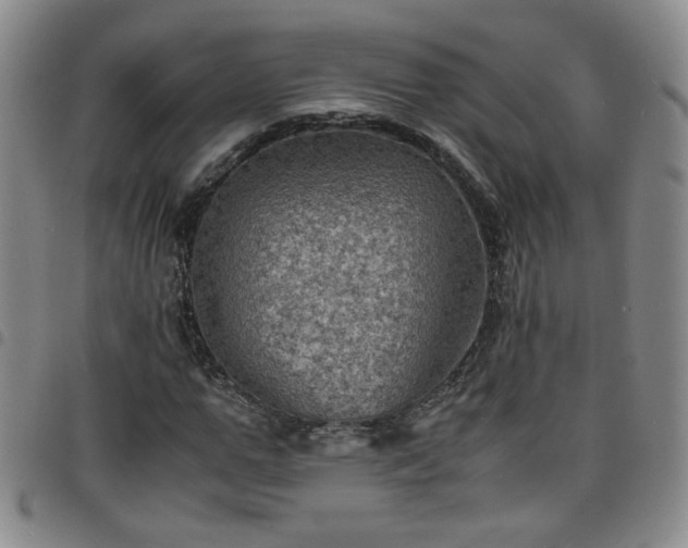 X0000098160967200804241800