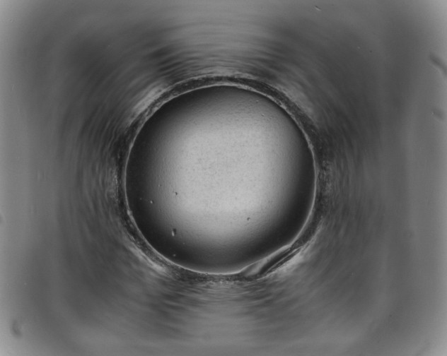 X0000098160969200804241800