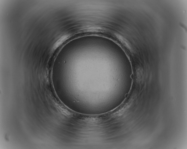 X0000098160970200804241800