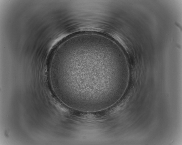 X0000098160971200804241800