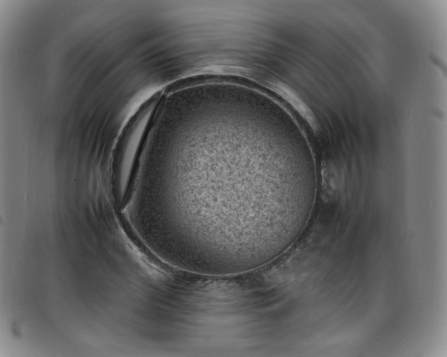X0000098160972200804241800