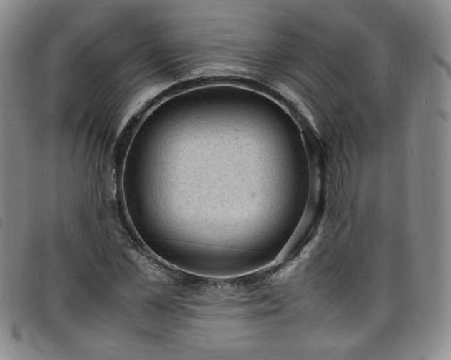 X0000098160973200804241800