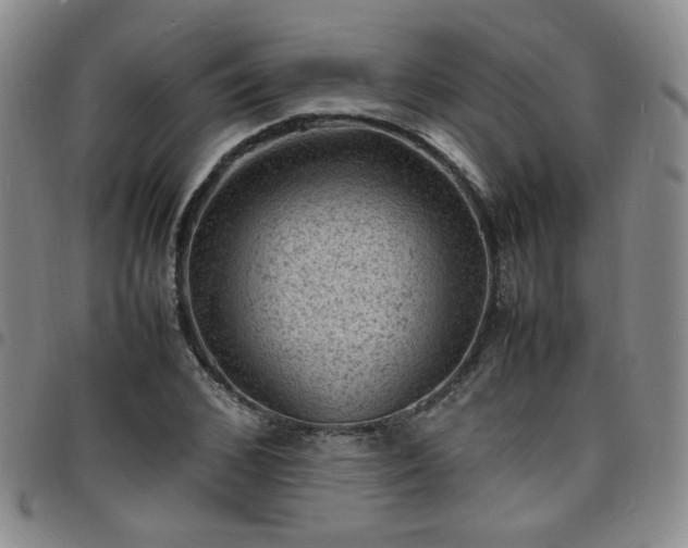 X0000098160976200804241800