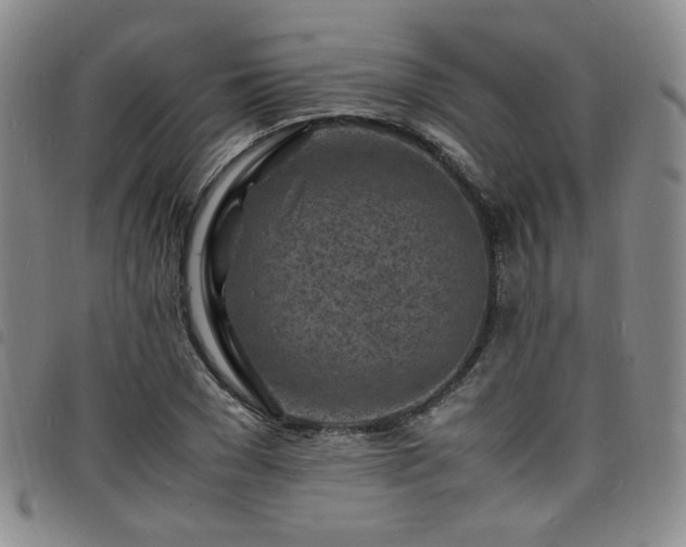 X0000098160977200804241800