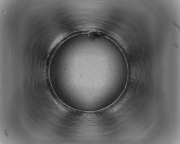 X0000098160978200804241800