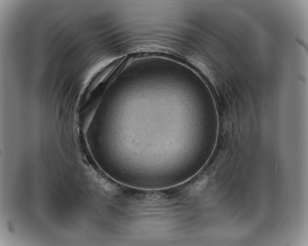 X0000098160979200804241800