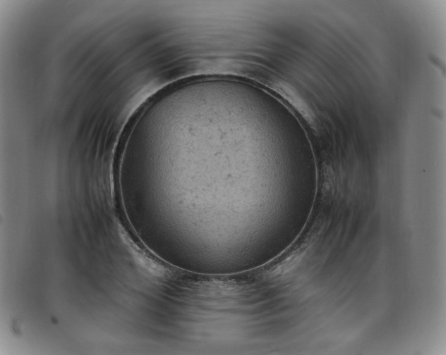 X0000098160980200804241800