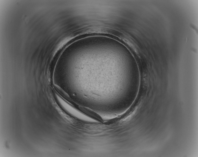 X0000098160981200804241800