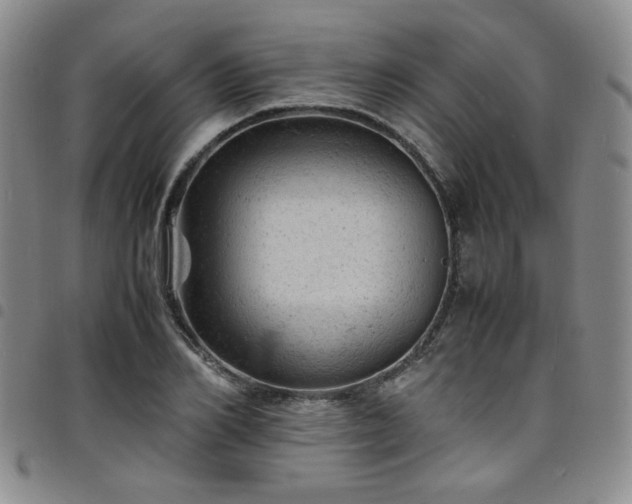 X0000098160982200804241800