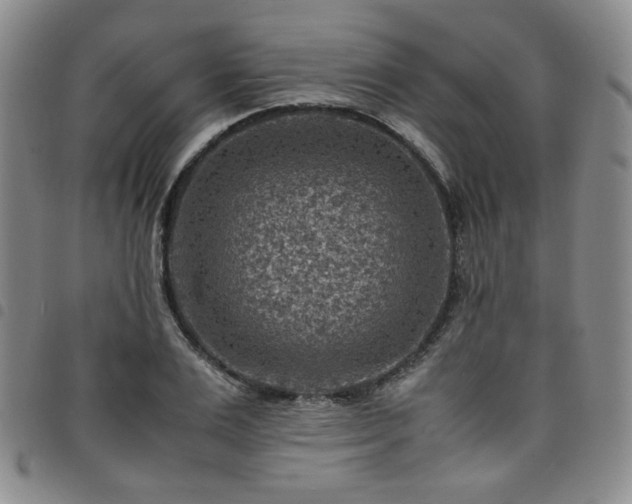 X0000098160983200804241800