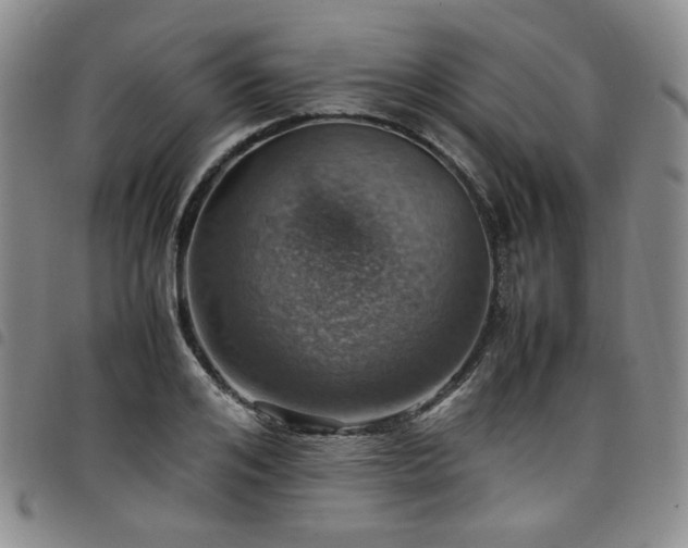 X0000098160984200804241759