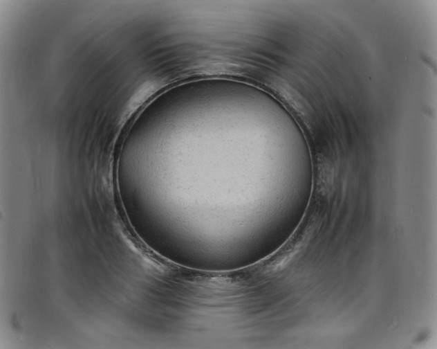 X0000098160986200804241759
