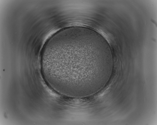 X0000098160987200804241759