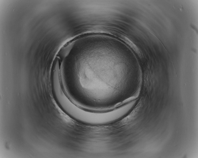 X0000098160988200804241759