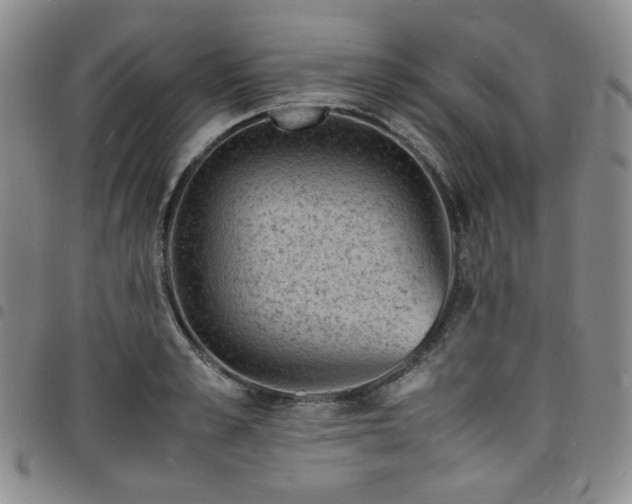 X0000098160989200804241759