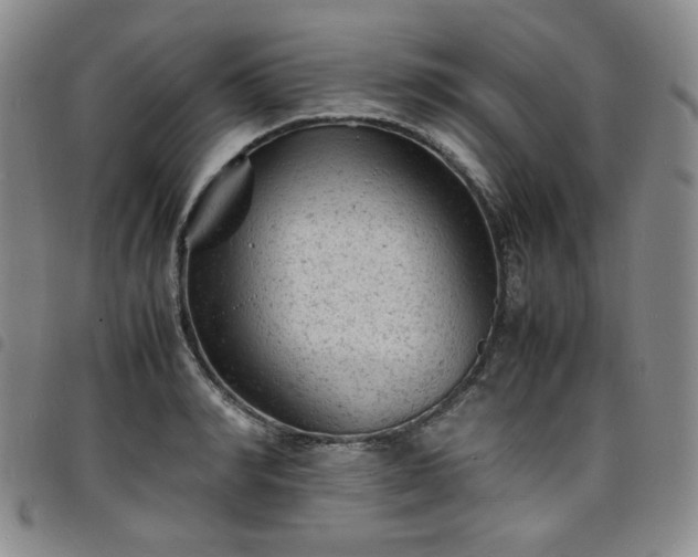 X0000098160990200804241759