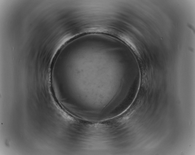 X0000098160992200804241759