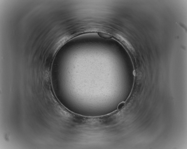 X0000098160993200804241759