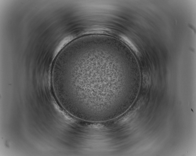 X0000098160994200804241759