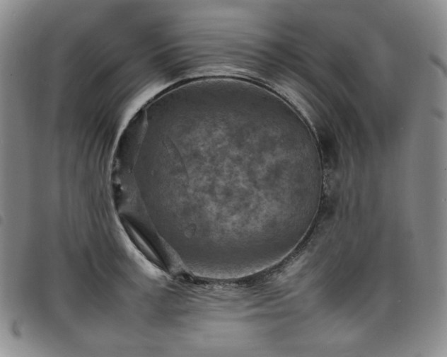X0000098160995200804241759