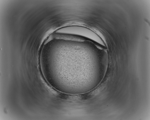 X0000098160997200804241759