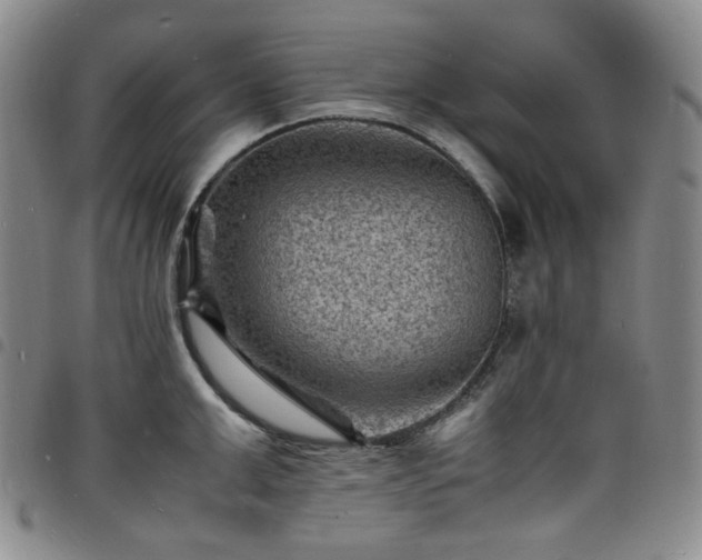 X0000098160999200804241759